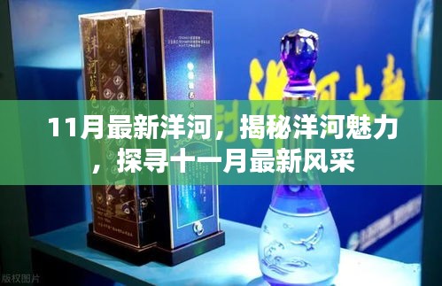 揭秘洋河魅力，十一月最新風(fēng)采展示