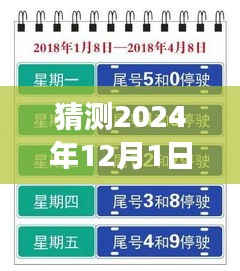 上海未來限行猜想，高架暢想曲與暖心故事，展望2024年12月的新規(guī)定