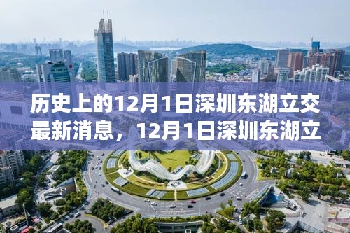 深圳東湖立交新進展，自然美景的心靈之旅啟程日紀念報道