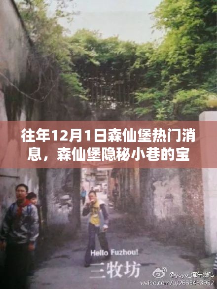 揭秘森仙堡隱秘小巷寶藏，十二月一日獨家新聞與特色小店的非凡魅力