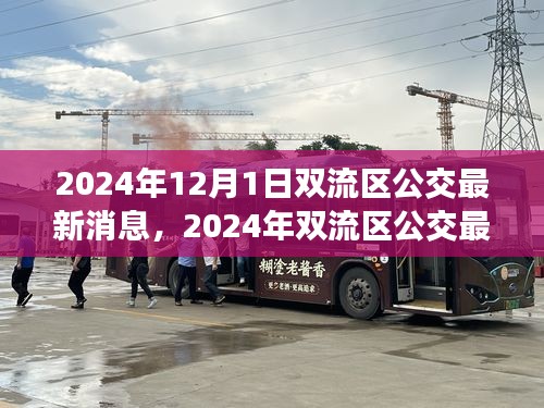 2024年雙流區(qū)公交最新消息詳解，獲取與使用公交服務的全面指南