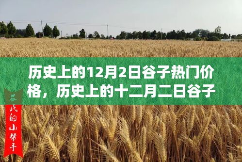 深度解析，歷史上的谷子熱門價格變遷與背景事件影響——十二月二日的回顧與剖析