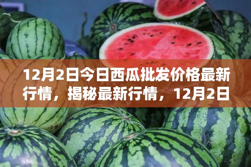 揭秘最新行情，深度解析12月2日西瓜批發(fā)價(jià)格走勢及最新行情