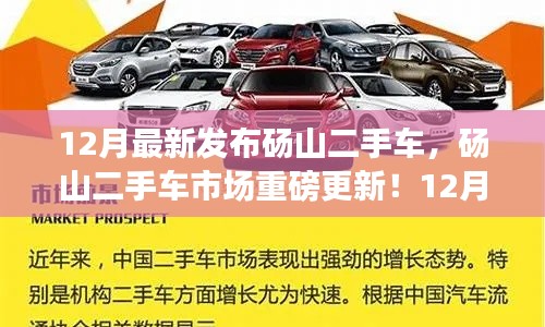 碭山二手車市場最新發(fā)布，12月車輛大全，優(yōu)質(zhì)二手車任你選