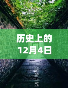 歷史上的12月4日潁上易景售樓盛況揭秘，巷陌間的夢(mèng)幻售樓空間獨(dú)特記憶