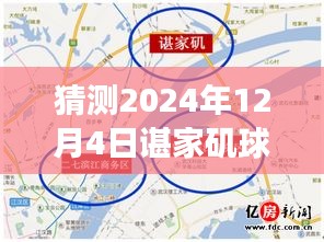 諶家磯球場(chǎng)最新動(dòng)態(tài)展望，未來(lái)賽事猜想（2024年12月4日）