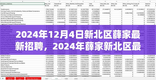 2024年新北區(qū)薛家最新招聘全攻略，適合初學(xué)者與進(jìn)階用戶(hù)的應(yīng)聘指南