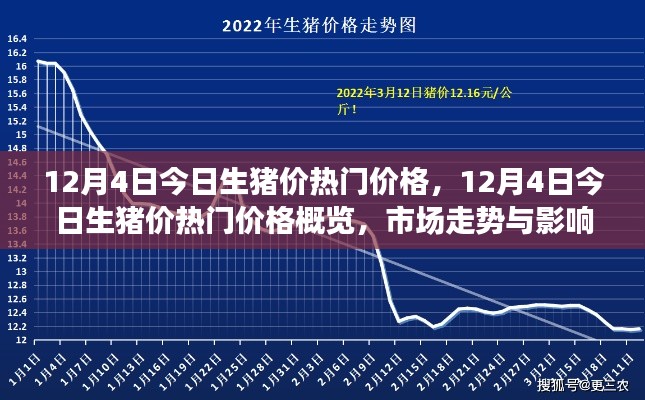 12月4日生豬價熱門概覽，深度解析市場走勢與影響因素