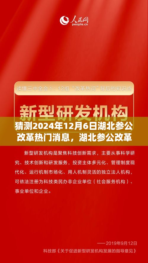 湖北參公改革展望，深度解析熱門消息，預(yù)測未來趨勢至2024年12月6日