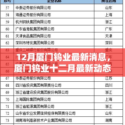 廈門鎢業(yè)十二月最新動態(tài)概覽，最新消息概覽