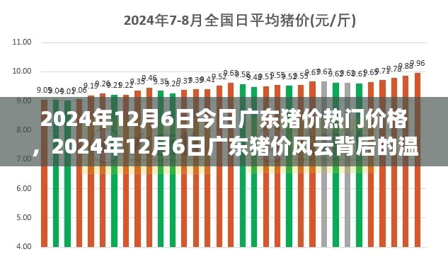 廣東豬價風云背后的溫情故事，最新價格動態(tài)與深度解讀