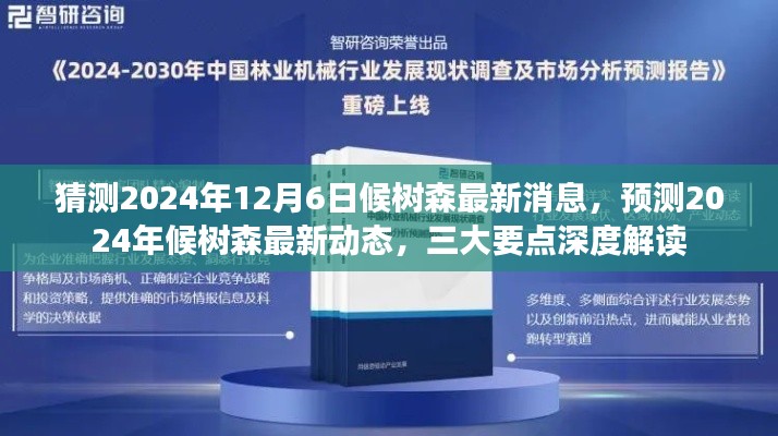 揭秘候樹森最新動態(tài)，三大要點深度解讀預測未來消息（2024年12月6日）