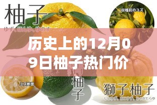 揭秘柚子歷史價格，柚子價格查詢全攻略（適合初學者與進階用戶）