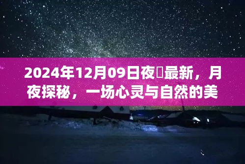 月夜探秘，心靈與自然的邂逅——記2024年12月09日夜廻之旅