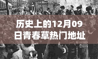 探尋青春草熱門地址背后的文化現(xiàn)象與青春記憶，歷史視角下的12月09日回顧