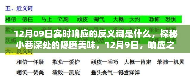 探秘實(shí)時(shí)響應(yīng)反義詞與小巷深處的隱匿美味，12月9日的探索之旅