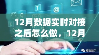 12月數(shù)據(jù)實時對接后的策略指南，多方考量與行動步驟