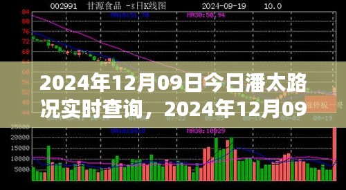 2024年12月09日潘太路實時路況查詢報告