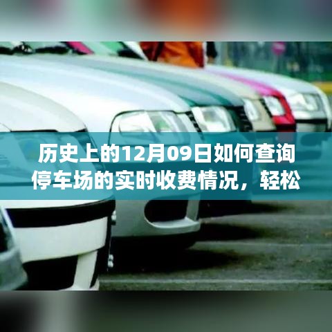 如何查詢停車場實時收費情況？詳細步驟指南（歷史上的12月09日版）