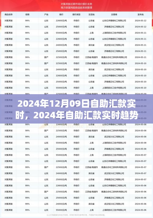 自助匯款實時趨勢下的金融革新，機遇與挑戰(zhàn)并存（2024年12月09日）