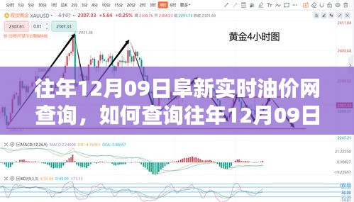 往年12月09日阜新實時油價網(wǎng)查詢攻略，初學者與進階用戶指南