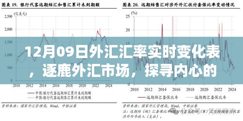 揭秘外匯市場(chǎng)風(fēng)云變幻，探尋匯率背后的故事——12月09日外匯匯率實(shí)時(shí)變化表解析