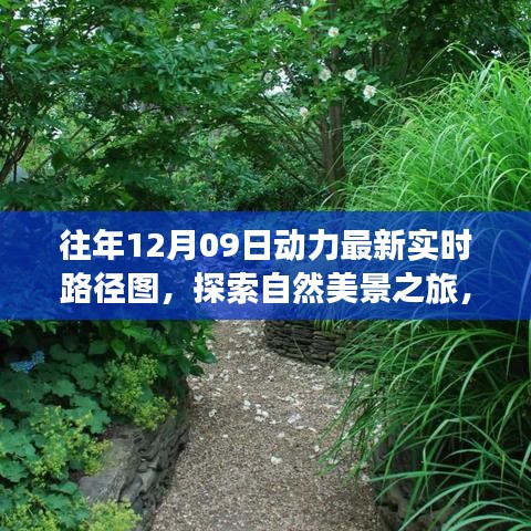 往年12月09日動力路徑圖，自然美景探索之旅的寧靜與和諧體驗