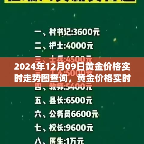 黃金市場脈動(dòng)解讀，2024年黃金價(jià)格實(shí)時(shí)走勢圖查詢