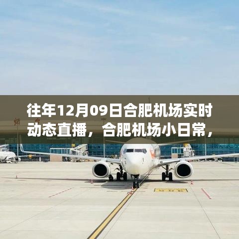 云端下的溫馨相遇，合肥機場12月9日實時動態(tài)直播小日常