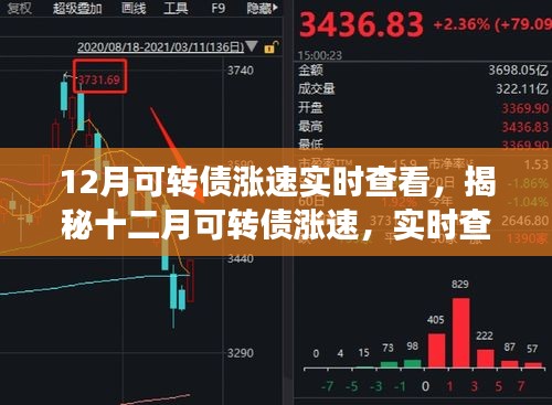 揭秘十二月可轉(zhuǎn)債漲速，實時查看與深度解讀報告