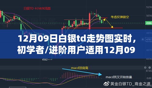 12月09日白銀TD走勢(shì)圖實(shí)時(shí)分析指南，適合初學(xué)者與進(jìn)階用戶