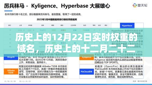 探尋實時權(quán)重域名，歷史上的十二月二十二日回顧與揭秘