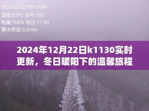 冬日暖陽下的溫馨旅程，K1130列車2024年12月22日實時更新行程揭秘