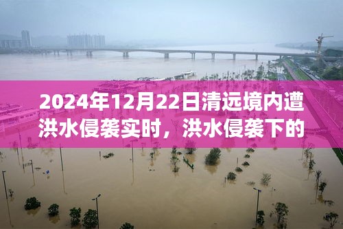 洪水侵襲下的清遠秘境，美食奇遇與實時報道