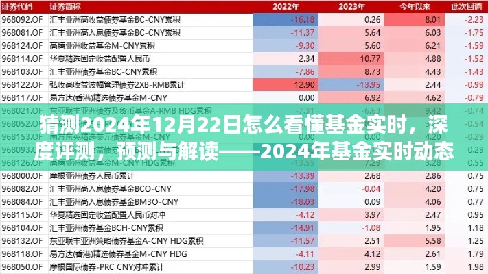 揭秘2024年基金實(shí)時(shí)動(dòng)態(tài)洞察系統(tǒng)，深度評(píng)測(cè)、預(yù)測(cè)與解讀的未來趨勢(shì)