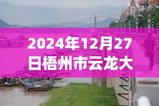 梧州市云龍大橋?qū)崟r水位監(jiān)測指南，以初學(xué)者和進階用戶視角看水位監(jiān)測