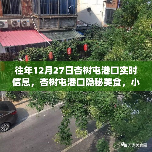 杏樹屯港口，美食秘境與實(shí)時(shí)信息的探索之旅