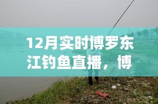 博羅東江畔的釣魚盛宴，12月實時釣魚直播開啟！