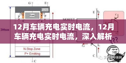 深入解析與觀點(diǎn)闡述，12月車輛充電實(shí)時(shí)電流詳解