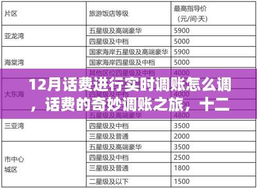 十二月話費(fèi)實(shí)時(shí)調(diào)賬指南，奇妙之旅與溫情時(shí)刻