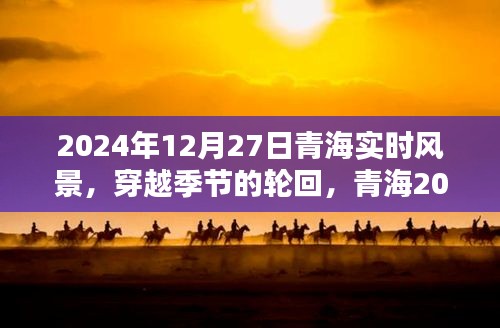 青海獨特風情，穿越季節(jié)輪回的2024年12月27日實時風景紀實