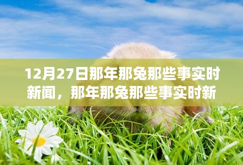 那年那兔時事新聞追蹤解讀指南，從初學(xué)者到進(jìn)階用戶的步驟指南