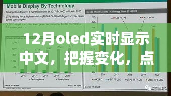 12月OLED中文實時顯示，把握變化，點亮未來——展現(xiàn)你的中文魅力