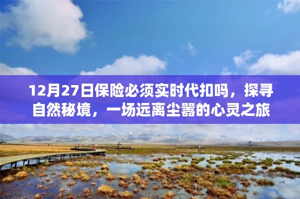 保險代扣與心靈之旅，探尋自然秘境的遠(yuǎn)離塵囂之旅