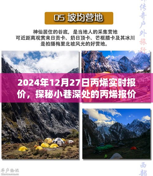 探秘丙烯報價秘境，揭秘2024年12月27日丙烯實時行情與報價深度解析