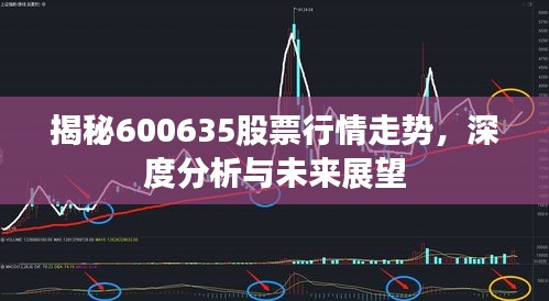 揭秘600635股票行情走勢(shì)，深度分析與未來(lái)展望