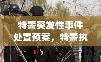 特警突發(fā)性事件處置預(yù)案，特警執(zhí)勤突發(fā)事件視頻 