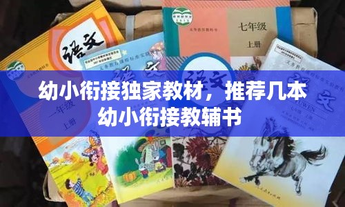 幼小銜接獨家教材，推薦幾本幼小銜接教輔書 