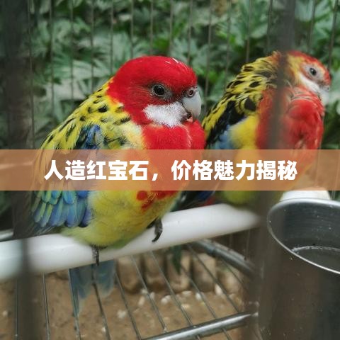 人造紅寶石，價(jià)格魅力揭秘