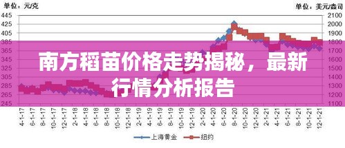 南方稻苗價(jià)格走勢(shì)揭秘，最新行情分析報(bào)告